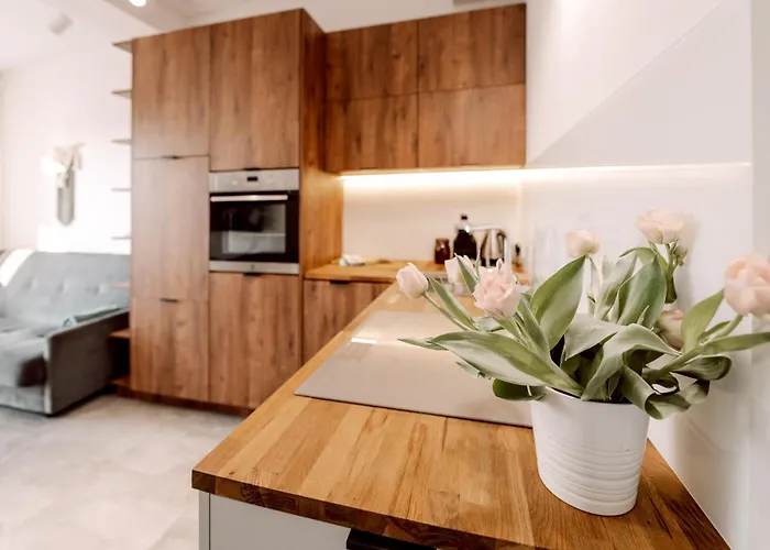 Partnerapart Rakowicka 14 Apartament
